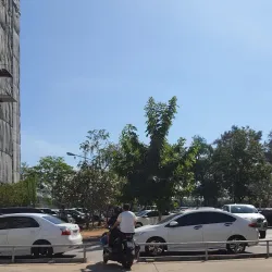 Chachoengsao City Pillar Shrine - Chachoengsao
