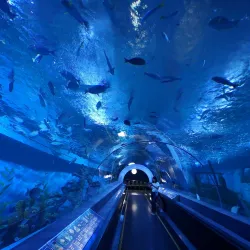 Bueng Chawak Chaloem Phrakiet - Chai Nat