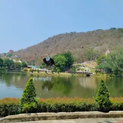 Chai Nat Bird Park - Chai Nat