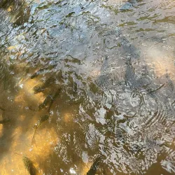 Namtok Khlong Narai Waterfall - Chanthaburi