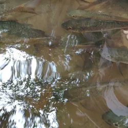 Namtok Phlio National Park - Chanthaburi