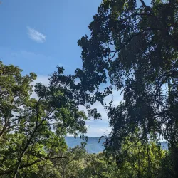 Bua Thong Sticky Waterfalls - Chiang Mai