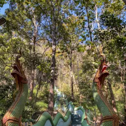 Bua Thong Sticky Waterfalls - Chiang Mai