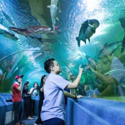 Chiang Mai Zoo and Aquarium - Chiang Mai