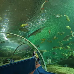 Chiang Mai Zoo and Aquarium - Chiang Mai