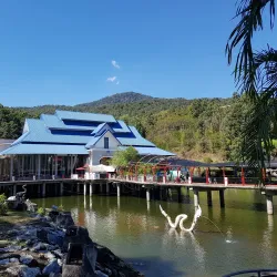 Chiang Mai Zoo and Aquarium - Chiang Mai