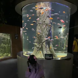 Chiang Mai Zoo and Aquarium - Chiang Mai