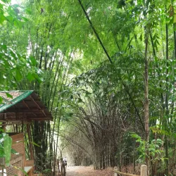 Hill Tribe Villages - Chiang Rai