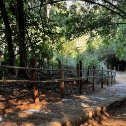 Hill Tribe Villages - Chiang Rai