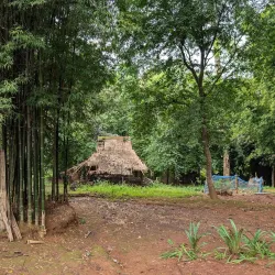 Hill Tribe Villages - Chiang Rai