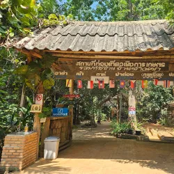 Hill Tribe Villages - Chiang Rai