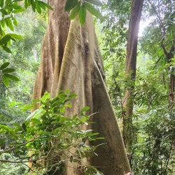 Khun Korn Waterfall - Chiang Rai