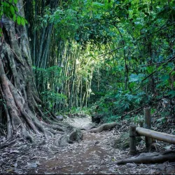 Khun Korn Waterfall - Chiang Rai
