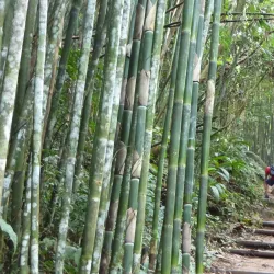 Khun Korn Waterfall - Chiang Rai