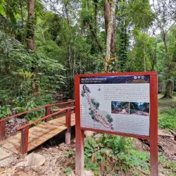 Khun Korn Waterfall - Chiang Rai