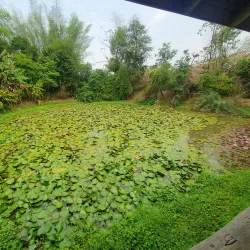 Mae Fah Luang Art and Cultural Park - Chiang Rai