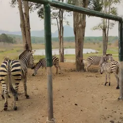Singha Park - Chiang Rai