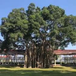 Maruekhathaiyawan Palace - Hua Hin