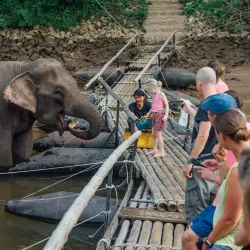River Kwai Jungle Rafts - Kanchanaburi
