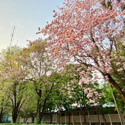 Kasetsart University - Khlong Luang