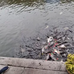 Khlong Luang Floating Market - Khlong Luang