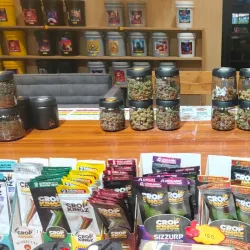 Local Agricultural Farms - Khlong Luang