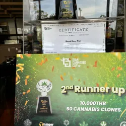 Local Agricultural Farms - Khlong Luang