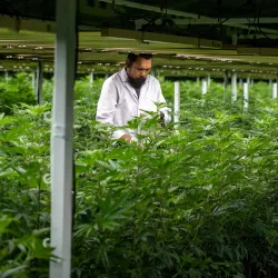 Local Agricultural Farms - Khlong Luang