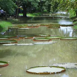Rajamangala University of Technology Thanyaburi (RMUTT) - Khlong Luang