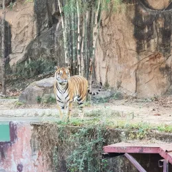 Khon Kaen Zoo - Khon Kaen