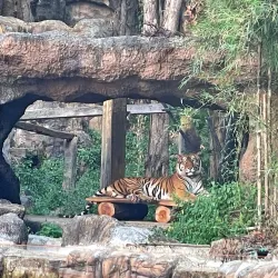 Khon Kaen Zoo - Khon Kaen