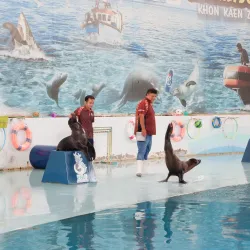 Khon Kaen Zoo - Khon Kaen