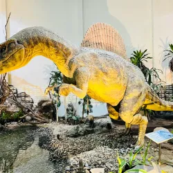 Phu Wiang Dinosaur Museum - Khon Kaen