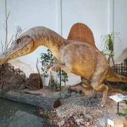 Phu Wiang Dinosaur Museum - Khon Kaen