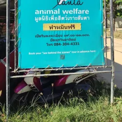 Lanta Animal Welfare - Koh Lanta