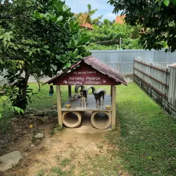 Lanta Animal Welfare - Koh Lanta