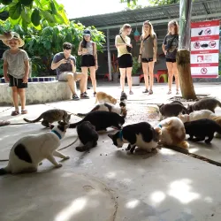 Lanta Animal Welfare - Koh Lanta