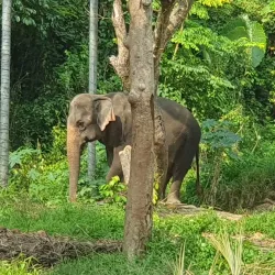 Na Muang Waterfalls - Koh Samui