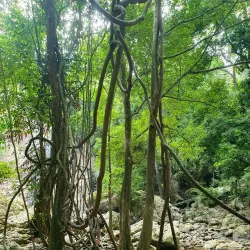 Na Muang Waterfalls - Koh Samui