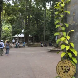 Na Muang Waterfalls - Koh Samui