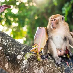 Ao Nang Beach - Krabi