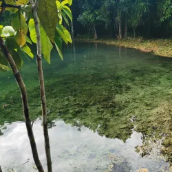 Emerald Pool (Sa Morakot) - Krabi