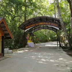 Emerald Pool (Sa Morakot) - Krabi