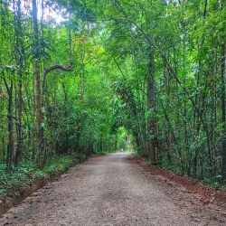 Thung Teao Forest Natural Park - Krabi