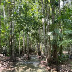 Thung Teao Forest Natural Park - Krabi