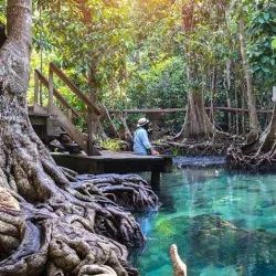 Thung Teao Forest Natural Park - Krabi