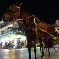 Lampang Horse Carriage Rides - Lampang