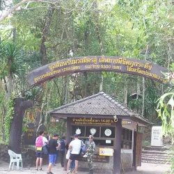 Phu Kradueng National Park - Loei