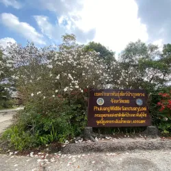 Phu Luang Wildlife Sanctuary - Loei
