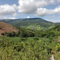 Phu Luang Wildlife Sanctuary - Loei